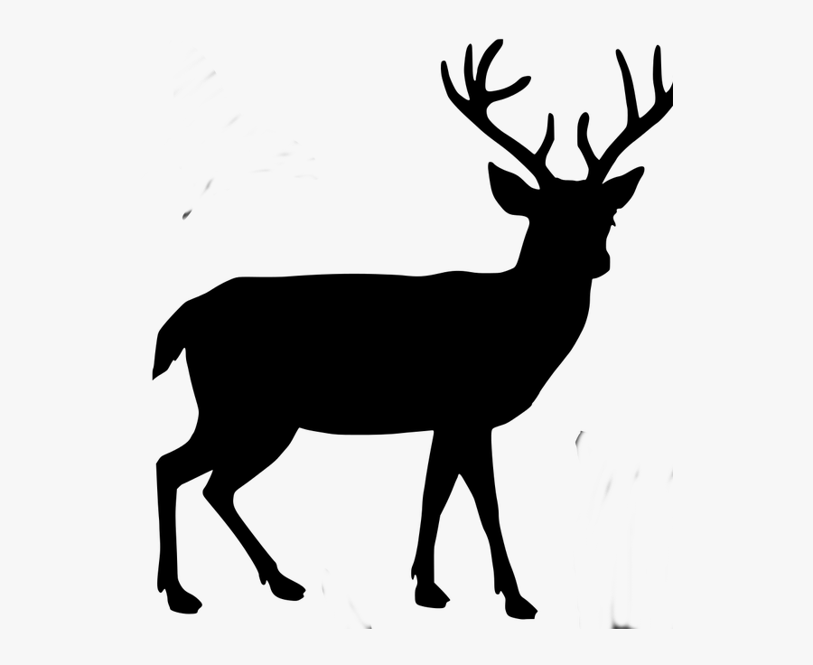 Transparent Deer Antlers Silhouette Png - Transparent Deer Silhouette, Transparent Clipart