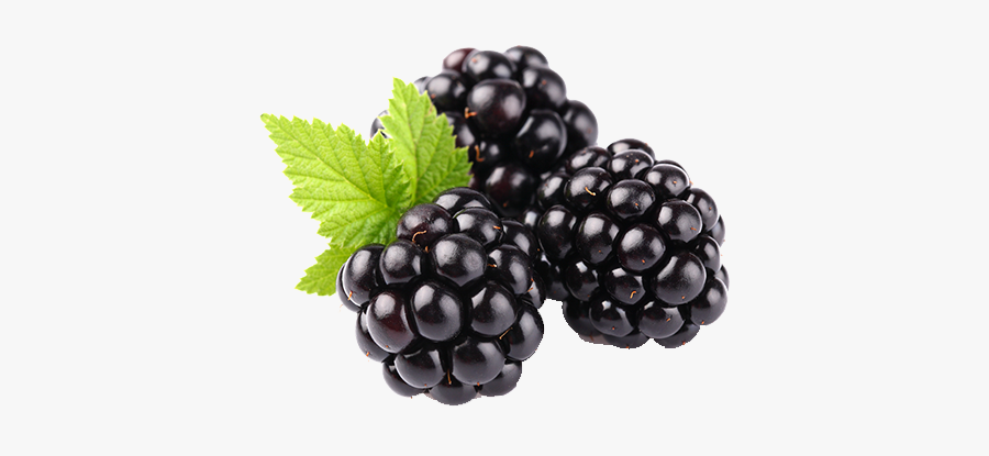 Blackberry Fruit Png Clipart - Fruits Blackberry, Transparent Clipart