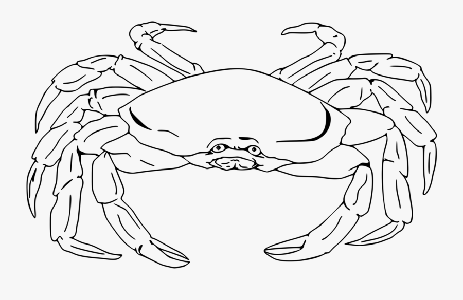 Semi-realistic Crab - Realistic Crab Clipart Black And White, Transparent Clipart