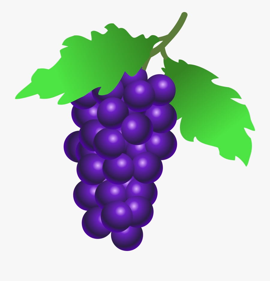 Grape Clipart Plum Fruit - Grapes Clipart, Transparent Clipart