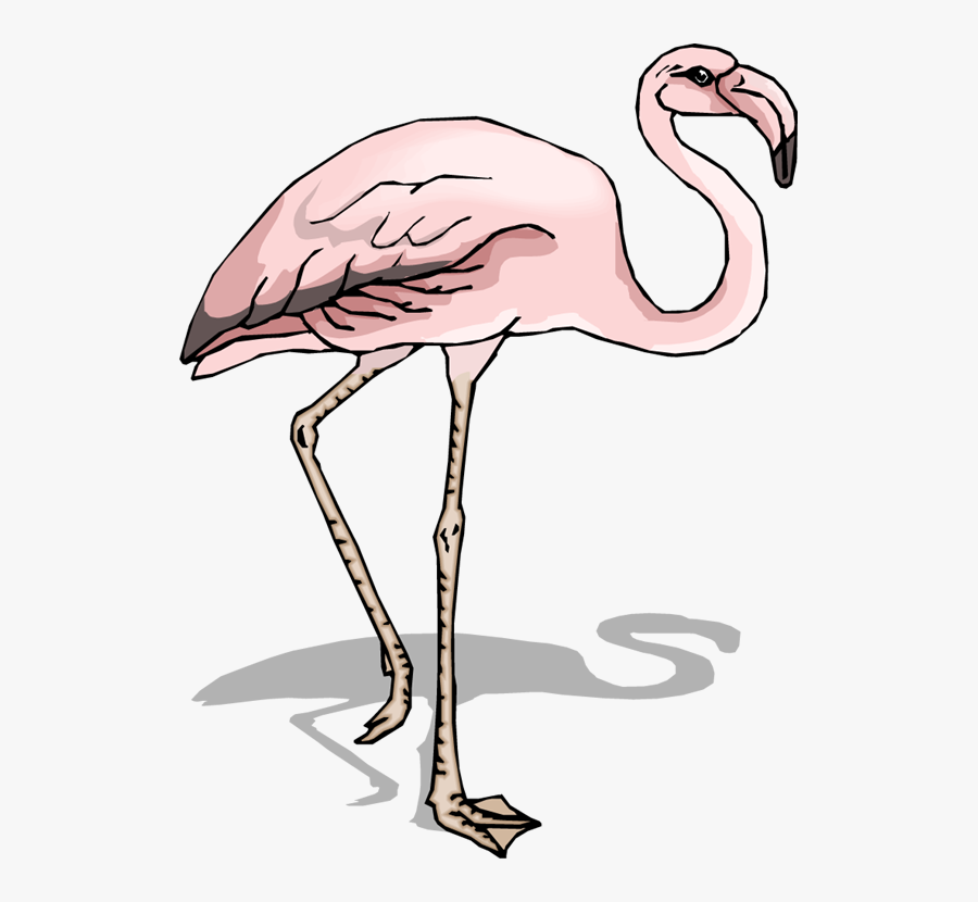 Gambar Sayap Burung Flamingo, Transparent Clipart
