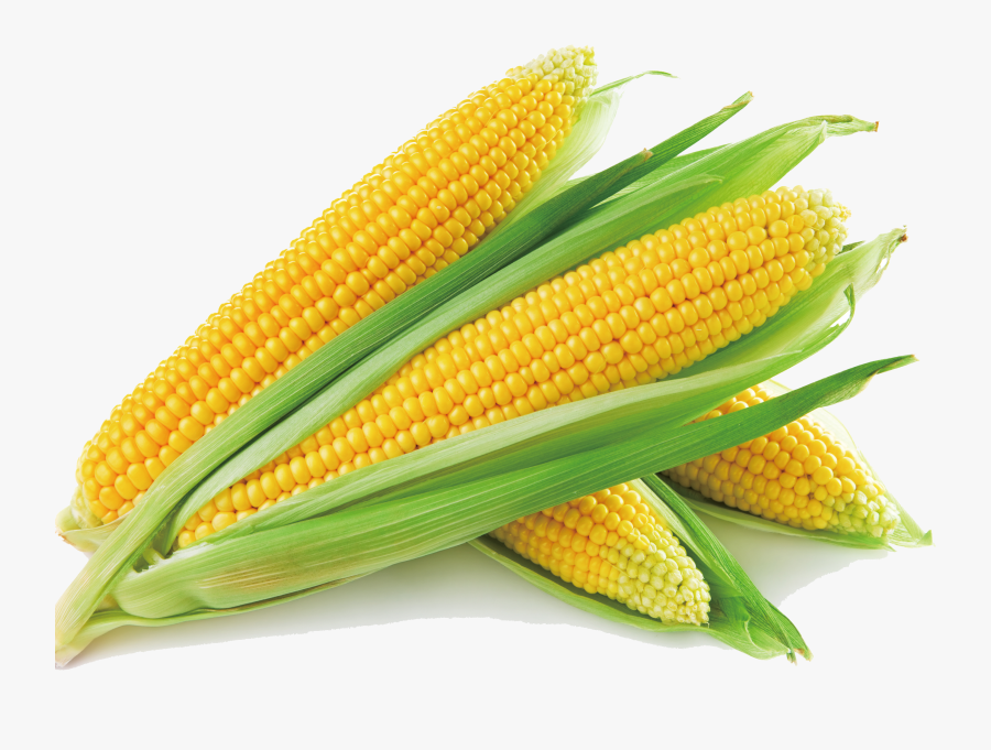 Sweet Corn Corn On The Cob Corn Soup Maize Vegetable - Maize Png, Transparent Clipart