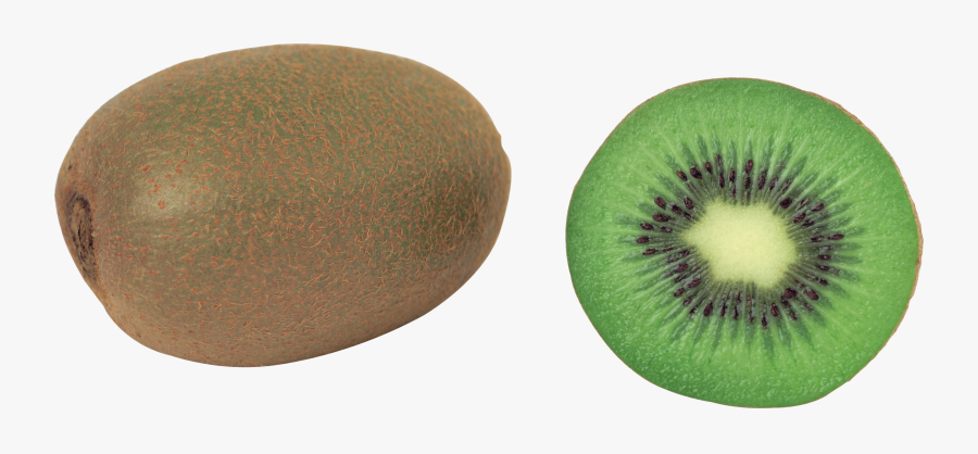 Kiwi Images Free Fruit Kiwi Pictures Download Clipart - 2 Kiwis Png, Transparent Clipart