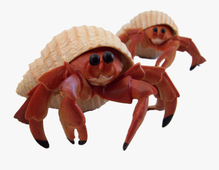 Baby Crab Png Transparent Baby Crabpng Images Pluspng - Hermit Crab Transparent Background, Transparent Clipart