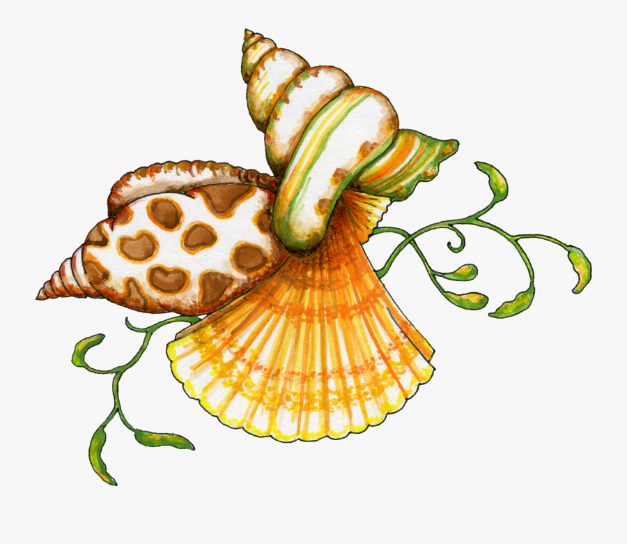 Flamingo Clipart Sea Shell - Free Clipart Seashells, Transparent Clipart