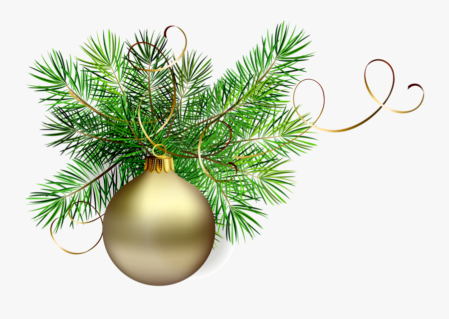 Christmas Pine Clipart - Christmas Pine Branch Clipart, Transparent Clipart