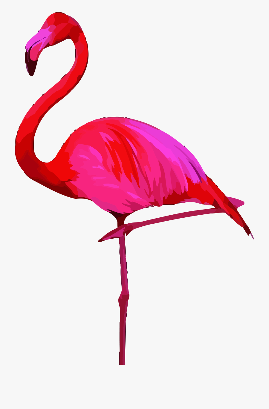 Flamingo Clipart Png - Greater Flamingo, Transparent Clipart