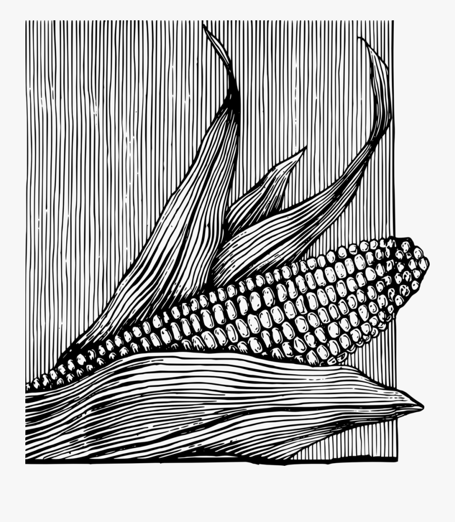 Corn On The Cob - Ilustraciones Maiz, Transparent Clipart