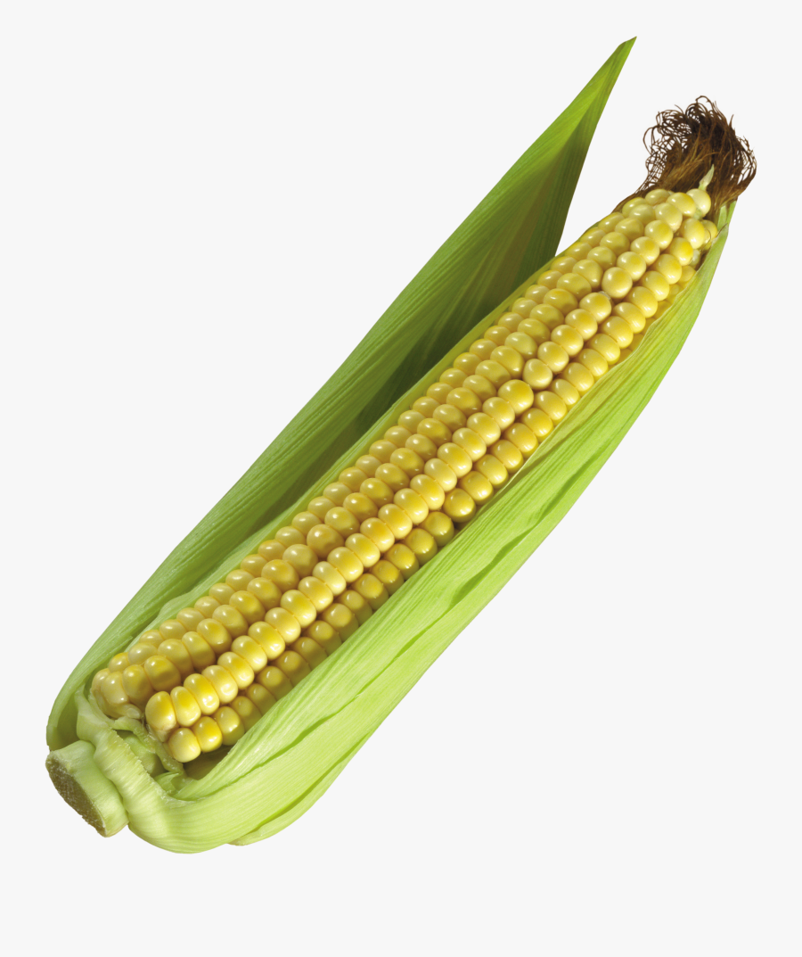 Corn Clipart Png Photos - Ark Mais, Transparent Clipart