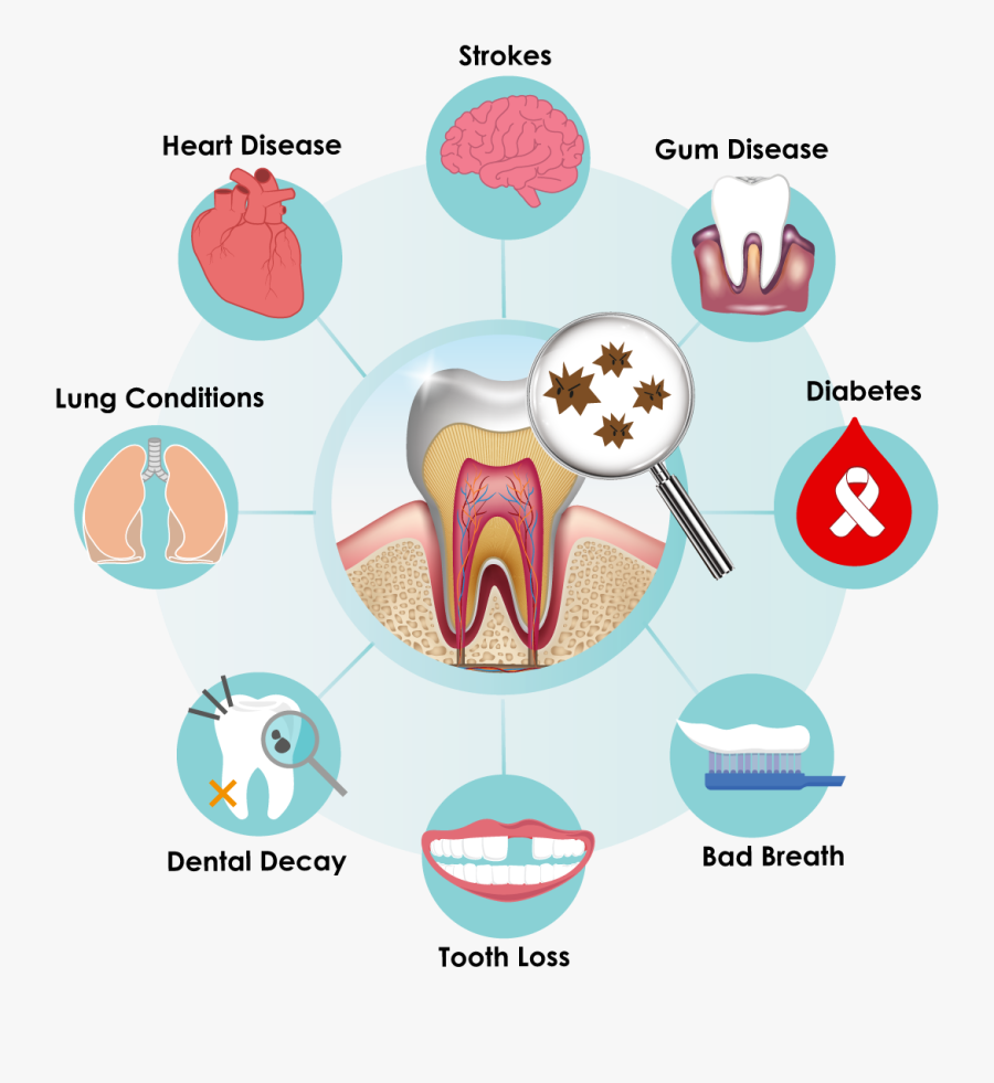 Teeth Clipart Oral Health - Oral Hygiene, Transparent Clipart
