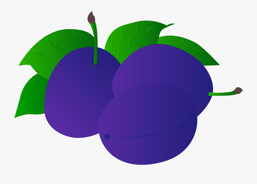 Fruit Illustration Food Png And Vector Image - Granny Smith, Transparent Clipart