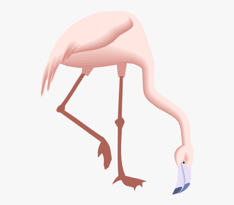 Pink Flamingo Silhouette, Transparent Clipart