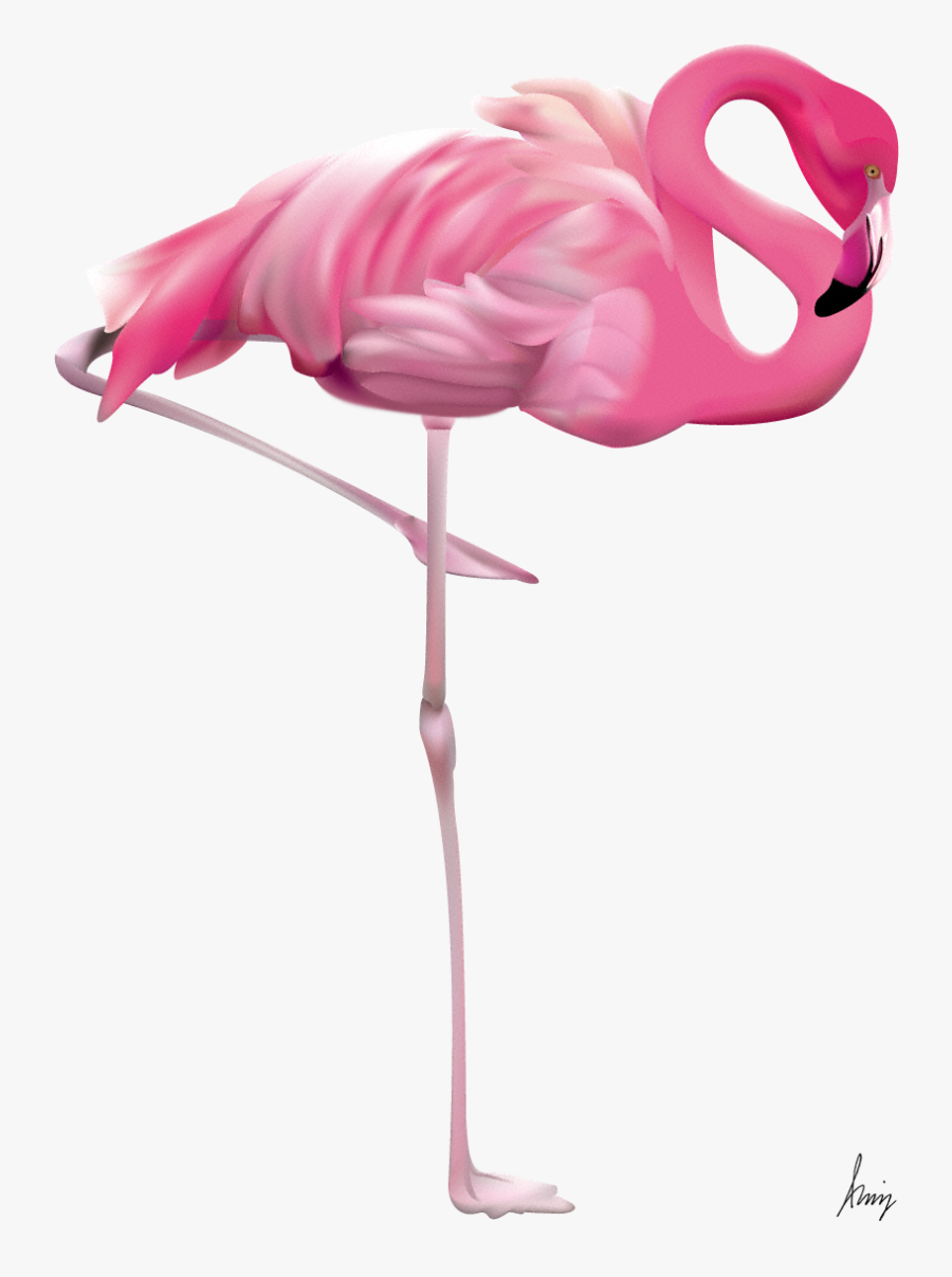 Flamingo By Leo - Pink Flamingo Transparent Background, Transparent Clipart