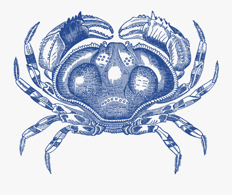 Old Engravings Public Domain, Transparent Clipart