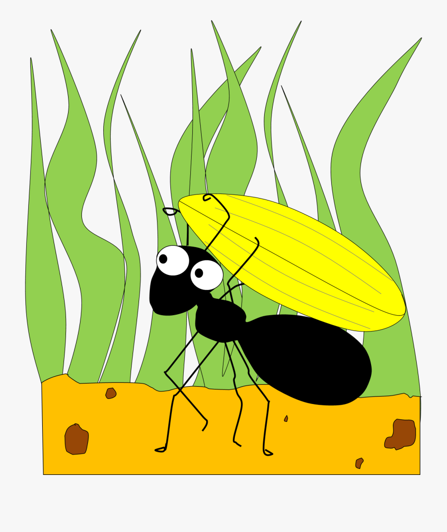 Cartoon The Ant And The Grasshopper, Transparent Clipart