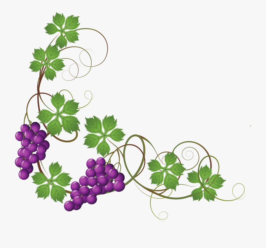 Transparent Vine Decoration Png Clipart Picture - Grapes On Vine Clipart, Transparent Clipart