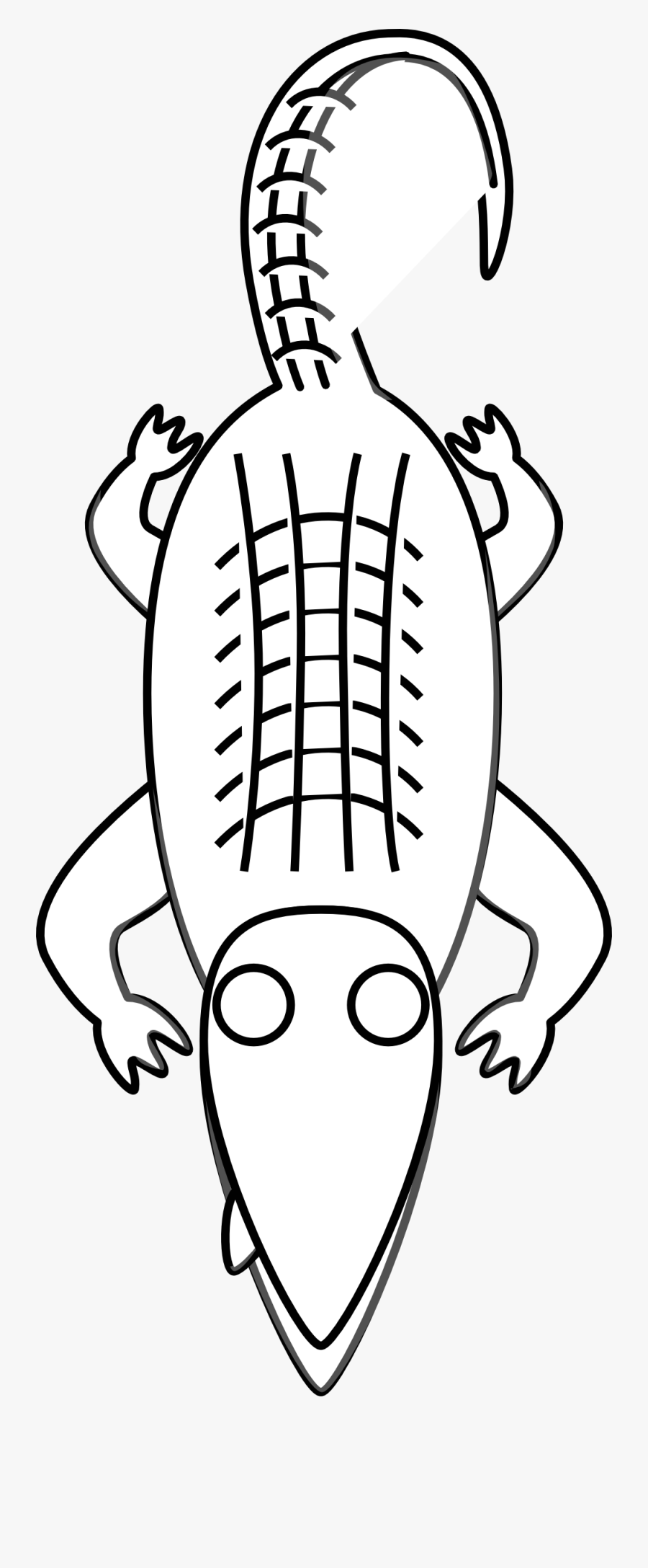 Alligator Black And White Alligator Clipart Black And - Crocodile Clipart Black And White, Transparent Clipart