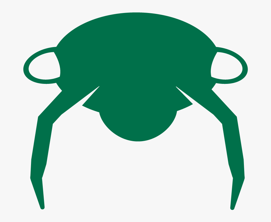 Don"t Lose Sleep Over Bed Bugs, Transparent Clipart