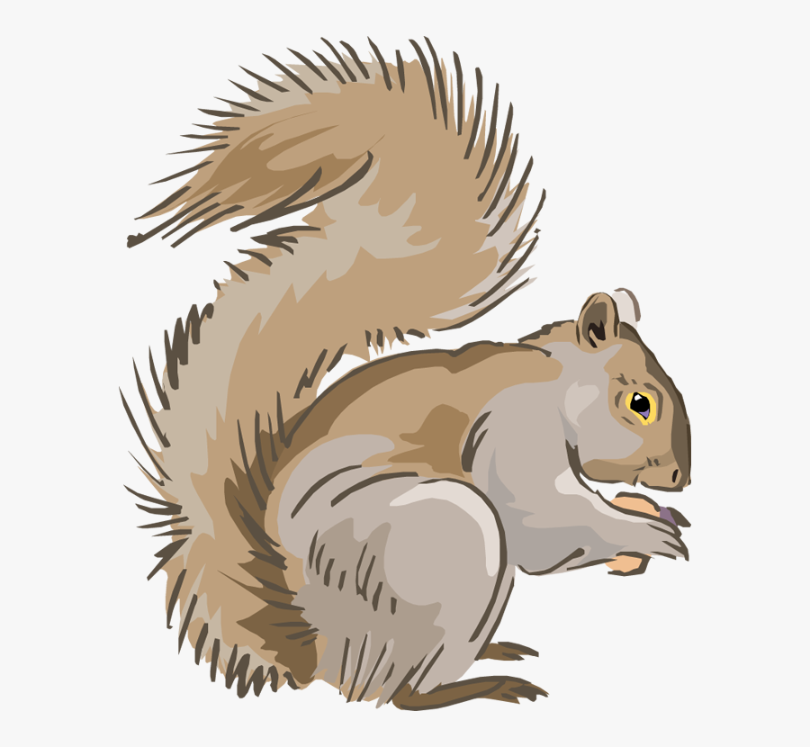 Free Squirrel Clipart - Gray Squirrel Clip Art, Transparent Clipart