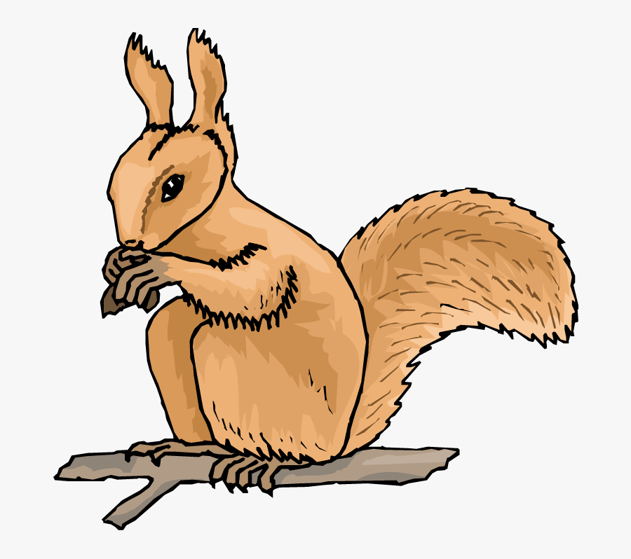 Free Squirrel Clipart - Squirrel Clipart Running, Transparent Clipart