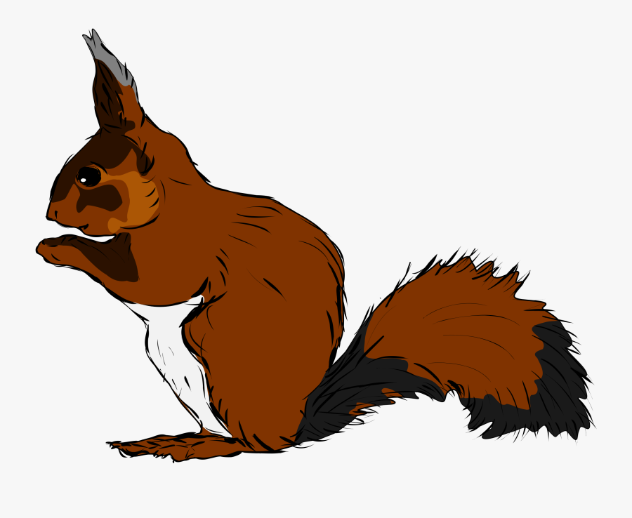 Squirrel - Woodland Animals Flashcards, Transparent Clipart