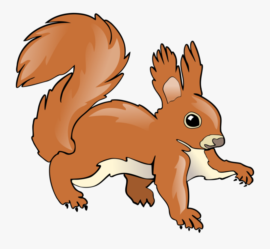 Snout,wildlife,squirrel - Squirrel Clipart, Transparent Clipart