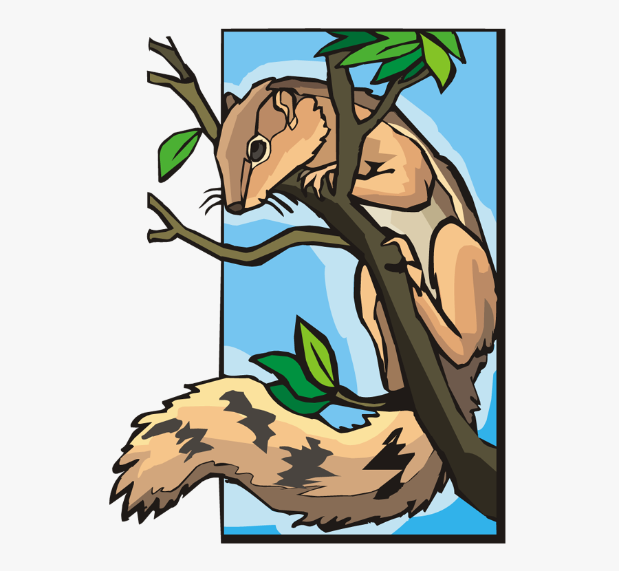 Squirrel In A Tree Clipart, Transparent Clipart