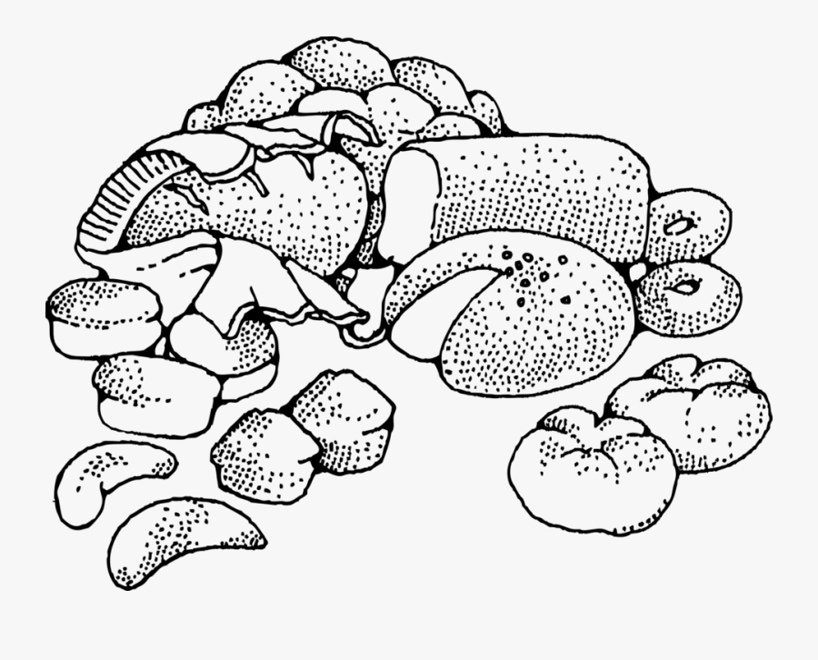 Pastries Baked Items Free Carbohydrates Black And White , Free Transparent Clipart ClipartKey