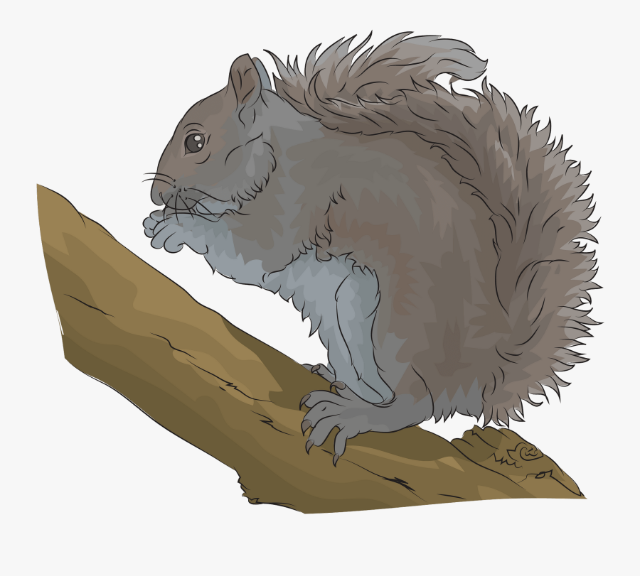 Fox Squirrel, Transparent Clipart