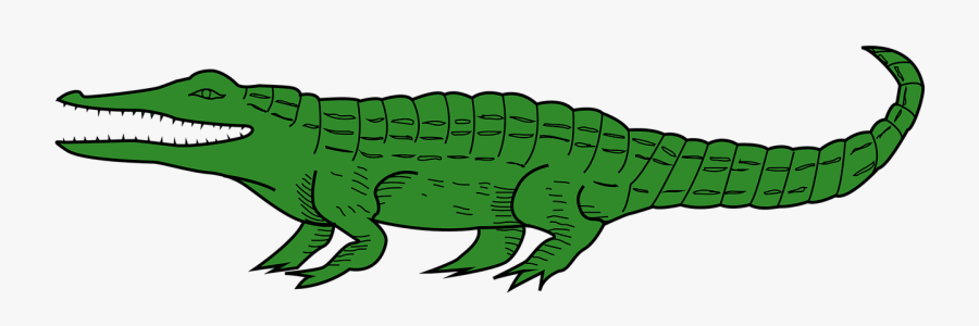 Cartoon Alligator Transparent Background, Transparent Clipart