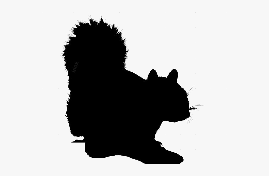 Transparent Squirrel Clipart - Squirrel, Transparent Clipart