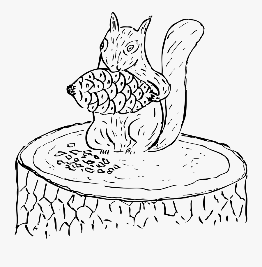 Squirrel Eating Pine Cone Png Library Stock - Pine Cone Clip Art, Transparent Clipart