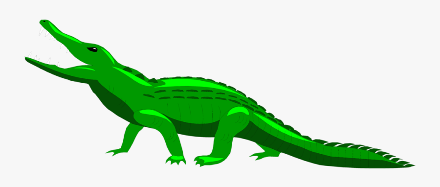 Free Stock Photo Illustration - Letter Aa For Alligator, Transparent Clipart