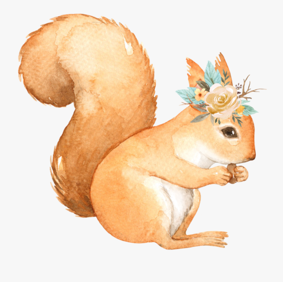 Squirrel Watercolor Freetoedit - Woodland Animals Blue Flowers Etsy, Transparent Clipart