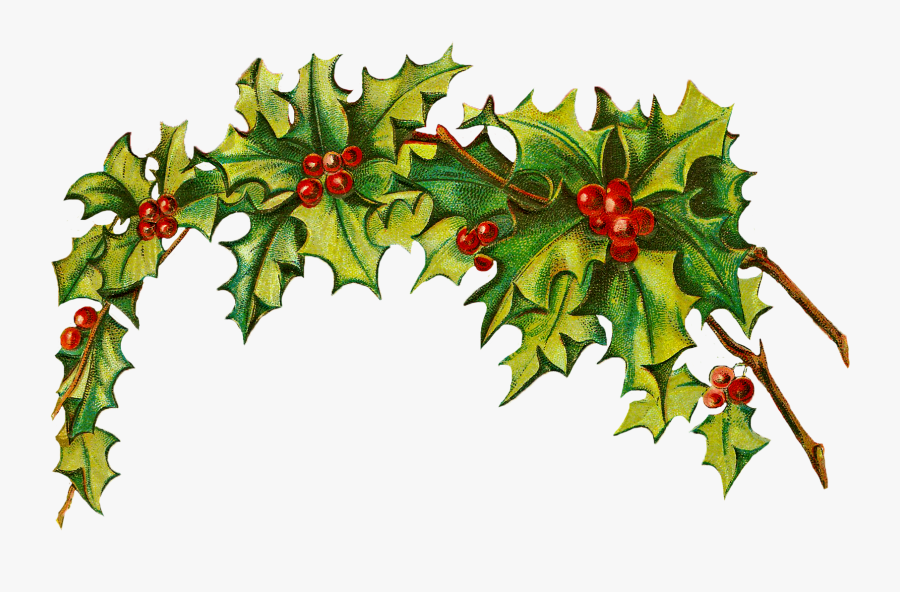Free Christmas Clip Art Holly Clipart Images, Transparent Clipart