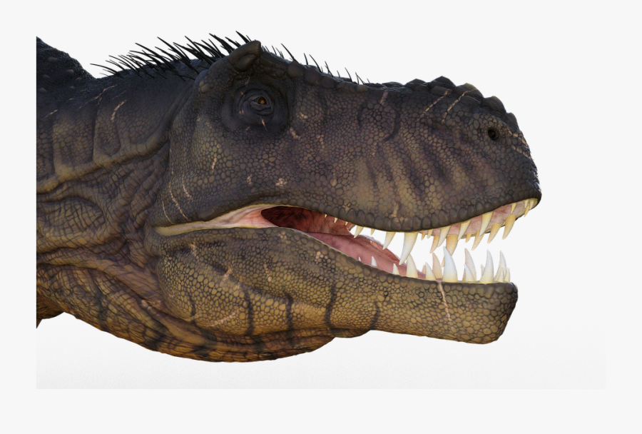 Primitive Images - Tyrannosaurus, Transparent Clipart