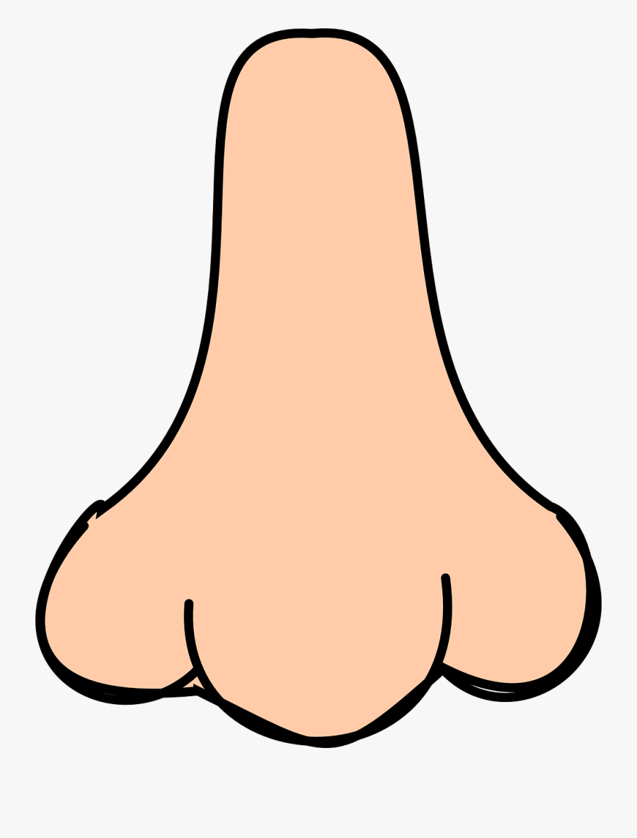 Big Nose Png- - Nose Smell Clipart , Free Transparent Clipart - ClipartKey
