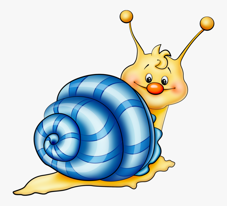 Transparent Background Snail Clipart, Transparent Clipart