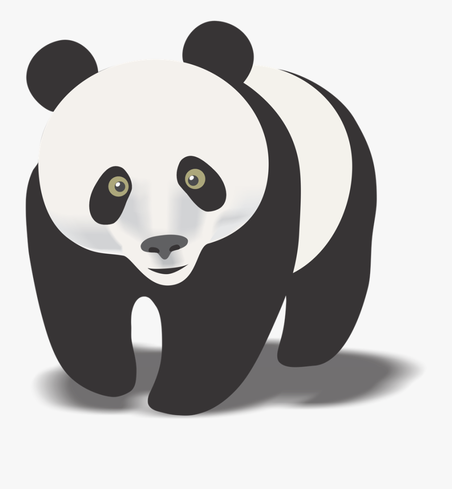 Panda - Clipart - - Panda Clipart Transparent Backgrounds, Transparent Clipart