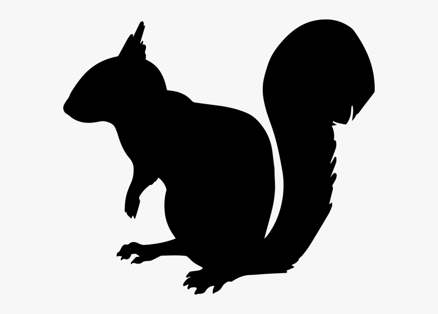 Hunting Finding Cleaning And - Squirrel Silhouette Clipart, Transparent Clipart