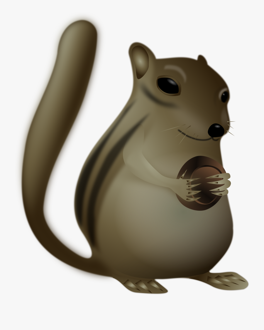 Muridae,tail,squirrel - สัตว์ ป่า น่า รัก Png, Transparent Clipart