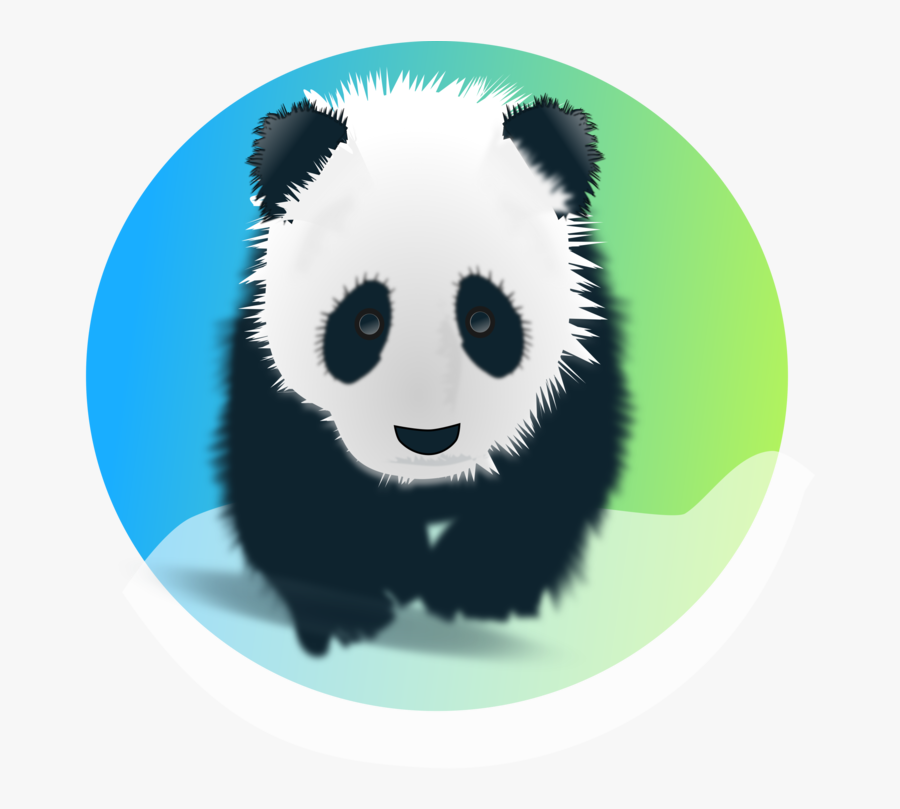 Snout,carnivoran,giant Panda - Pandas Black And White, Transparent Clipart