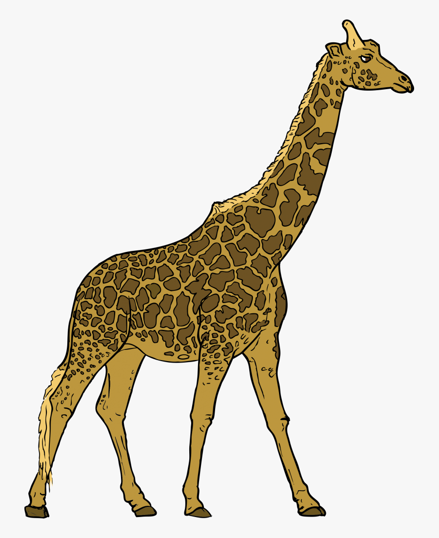 Giraffe Walking Clipart, Transparent Clipart