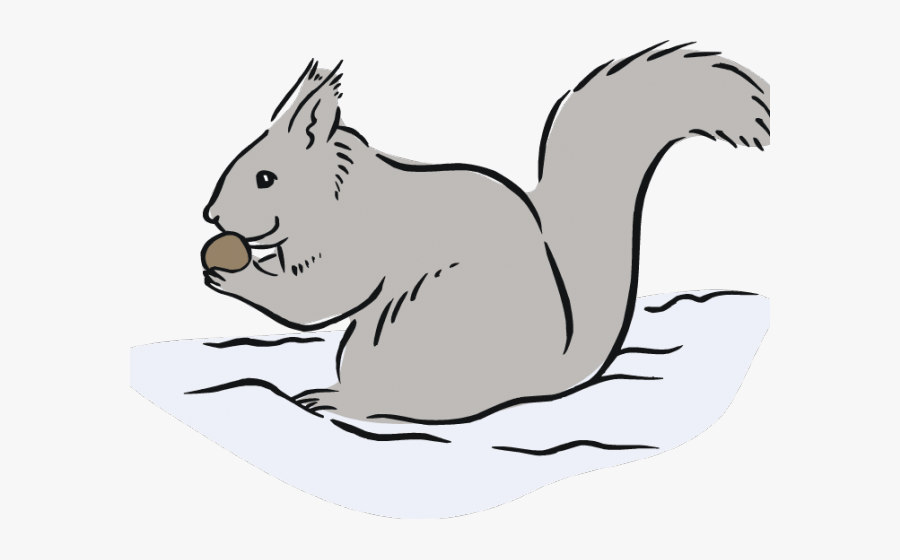 Gray Squirrel Clipart Cute Free Clipart On - Eastern Gray Squirrel Cartoon, Transparent Clipart