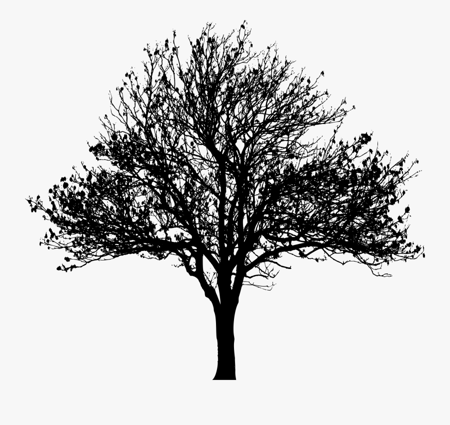 Clip Art Best Free King Silhouette - Tree Silhouette Png Free, Transparent Clipart