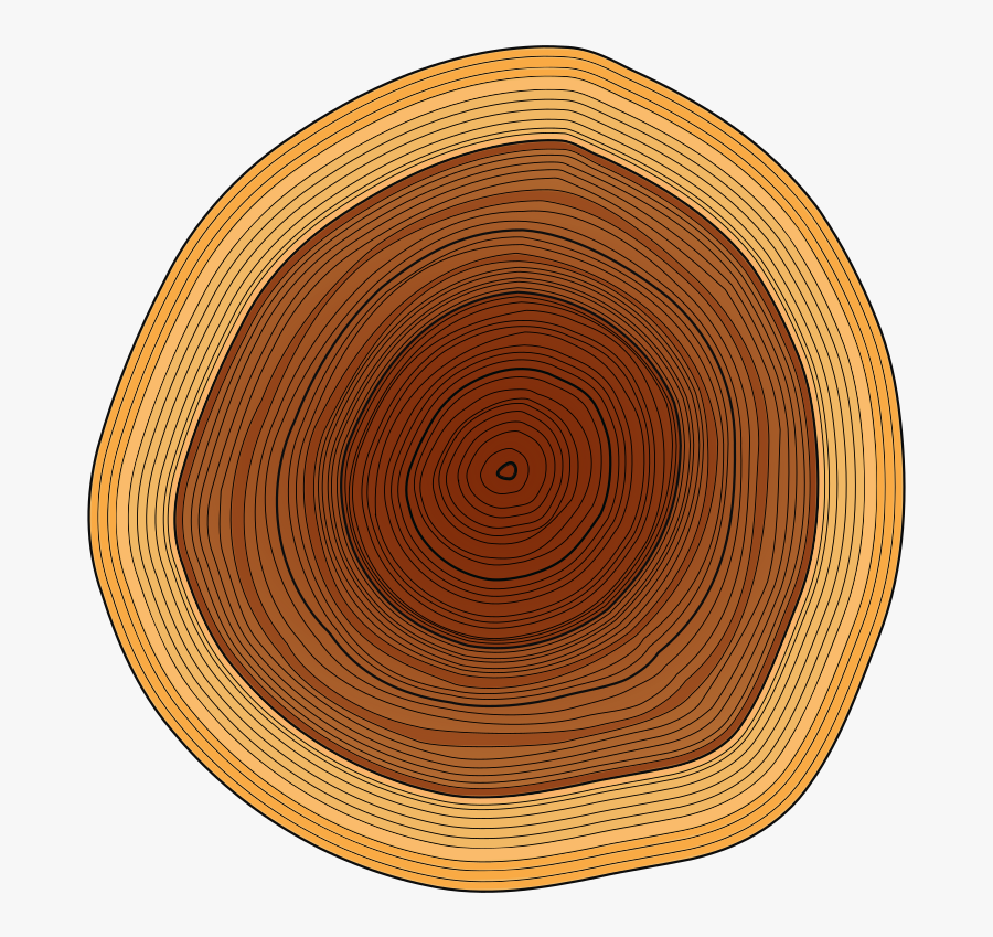 Tree Ring Clipart - Circle, Transparent Clipart