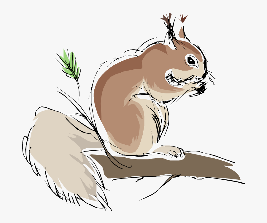 Squirrel, Transparent Clipart