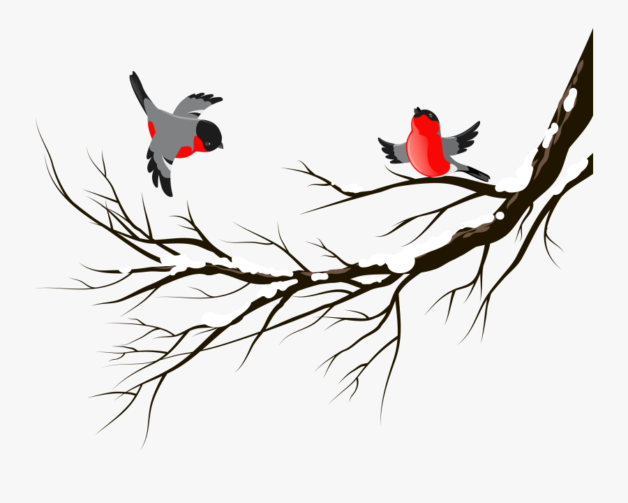 Bird European Robin Winter Clip Art - Life Is Beautiful Keep Going, Transparent Clipart