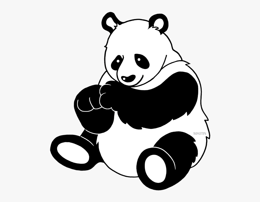 Panda - Phillip Martin Panda, Transparent Clipart