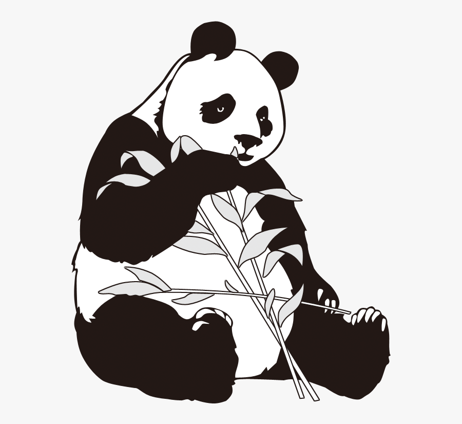 Giant Bamboo Art Transprent Png Free Download - Le Panda Géant En Dessin, Transparent Clipart